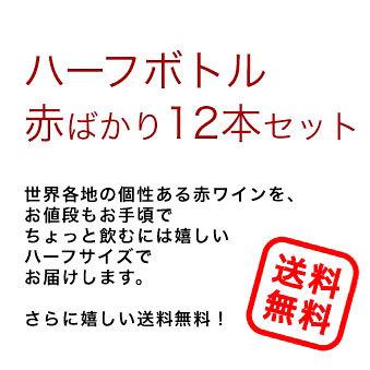 ハーフボトル ワインセット 赤セット 濃いめの 赤ワイン ハーフボトル 飲み比べ 12本セット 375ml 12本 wine