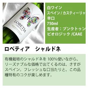 自然派 4本入り シャルドネ バラエティ ワールドシリーズ 世界の