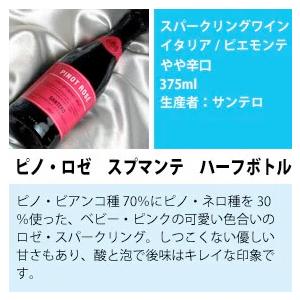 ハーフボトル ワインセット シャンパン も入った お手軽 スパークリングワイン ハーフワイン 6本セットVer.15 375ml wine｜higuchiwine｜03