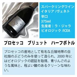 ハーフボトル ワインセット シャンパン も入った お手軽