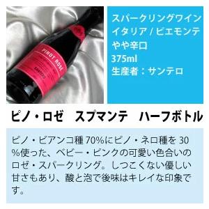 ハーフボトル ワインセット シャンパン も入った お手軽