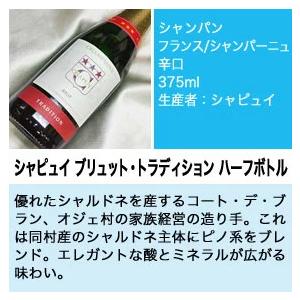 シャンパンづくし バランス重視 ハーフボトル 飲み比べ 5本セット Ver