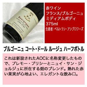 ソムリエ試験に最適 品種別飲み比べ ハーフボトル 10本セット 飲みきり
