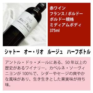 ソムリエ試験に最適 品種別飲み比べ ハーフボトル 10本セット 飲みきり