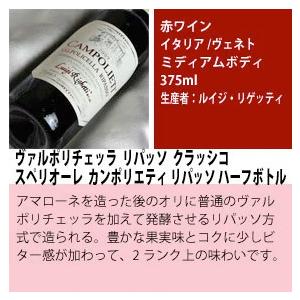 イタリアワインのツボを押さえたスペシャルな赤 ワインハーフボトル