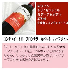 ワインセット スクリューキャップ コルク抜き不要 チリ産 の 赤ワイン