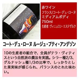 ワインセット 赤ワイン オール自然派 フランスワイン の 王道品種 飲み