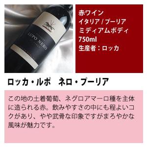 自然派ワイン5本入り ちょっと高級な イタリア産 赤 ワイン 12本セット