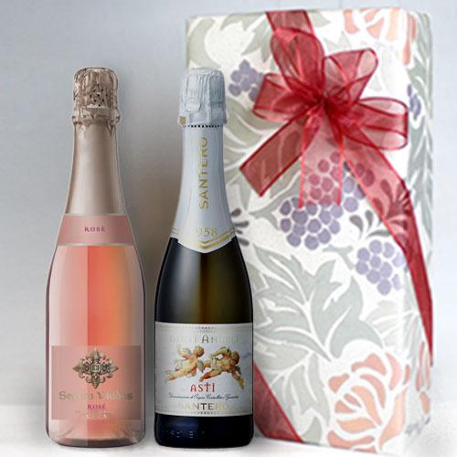 甘口＆辛口 スパークリング アスティ & ロゼ カバ ハーフボトル 2本組