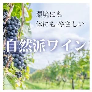 フランス ボルドー 超有名シャトー セカンド 赤 オーガニックワイン 750ml 2本セット 無料 ギフト 包装 お祝い 結婚祝い 誕生祝い 自然派 wine｜higuchiwine｜05