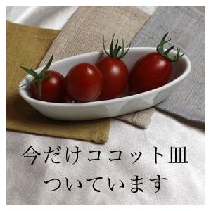 1999 生まれ年 赤 ワイン 辛口 と ワイングッズ カゴ盛り 詰め合わせ ギフトセット フランス ブルゴーニュ 産ワイン 1999年  wine｜higuchiwine｜06