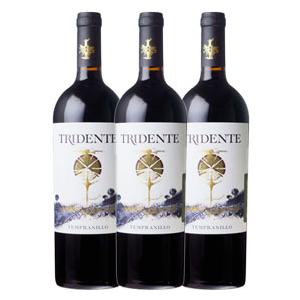 トリデンテ テンプラニーリョ 750ml 3本セット ボデガス トリデンテ ケース販売 正規品 取り寄せ品 ケース売り スペイン 赤 ワイン 重口 業務用 Wine W439 C ヒグチワイン Higuchi Wine 通販 Yahoo ショッピング