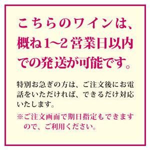 イタリア カジュアルワイン 赤白 の 2本組 ギフトセット 3000円 750ml