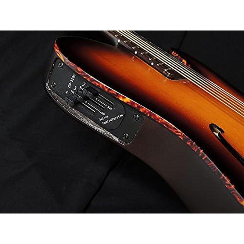 SCHECTER OL-FL TSB Oriental Line シェクター 薄胴 アコースティックギター Fホール エレアコ サテン サン