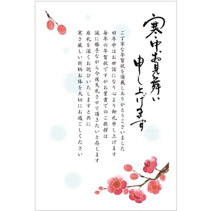 年賀状じまい 寒中見舞いタイプ 10枚 スタンダード 切手付官製ハガキ Snk101 梅 ひぐらし工房 通販 Yahoo ショッピング