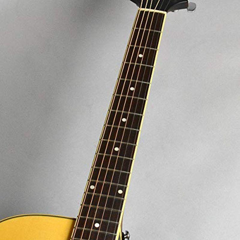 豪華な素材 Greg Bennett グレッグベネット GD-100RSCE N ギター】Greg Bennett(グレッグベネット) 「GOM-100RSCE」「GD