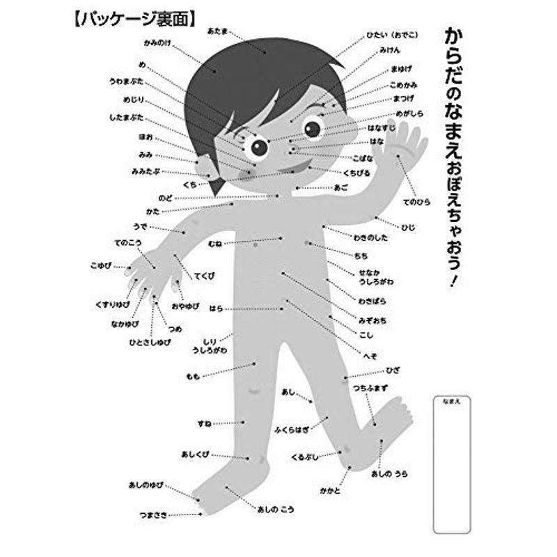 日本製 ビバリー 80ピース ジグソーパズル 学べるジグソーパズル からだおぼえちゃおう (26×38cm)80-005｜higurashi-kobo｜09