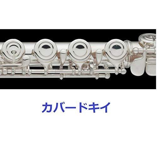 美品 YAMAHA フルート YFL212 ヤマハ ハードケース ソフトケース付