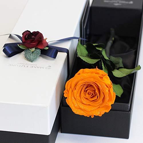 期間限定特価 Makefuture Diamond Rose プリザーブドフラワー 花 誕生日 一輪 バラ プロポーズ ダイヤモンドローズ アモローサ A B0r7v42r 1229 ひぐらし工房 通販 Yahoo ショッピング 内祝い Www Jolimmo Ch