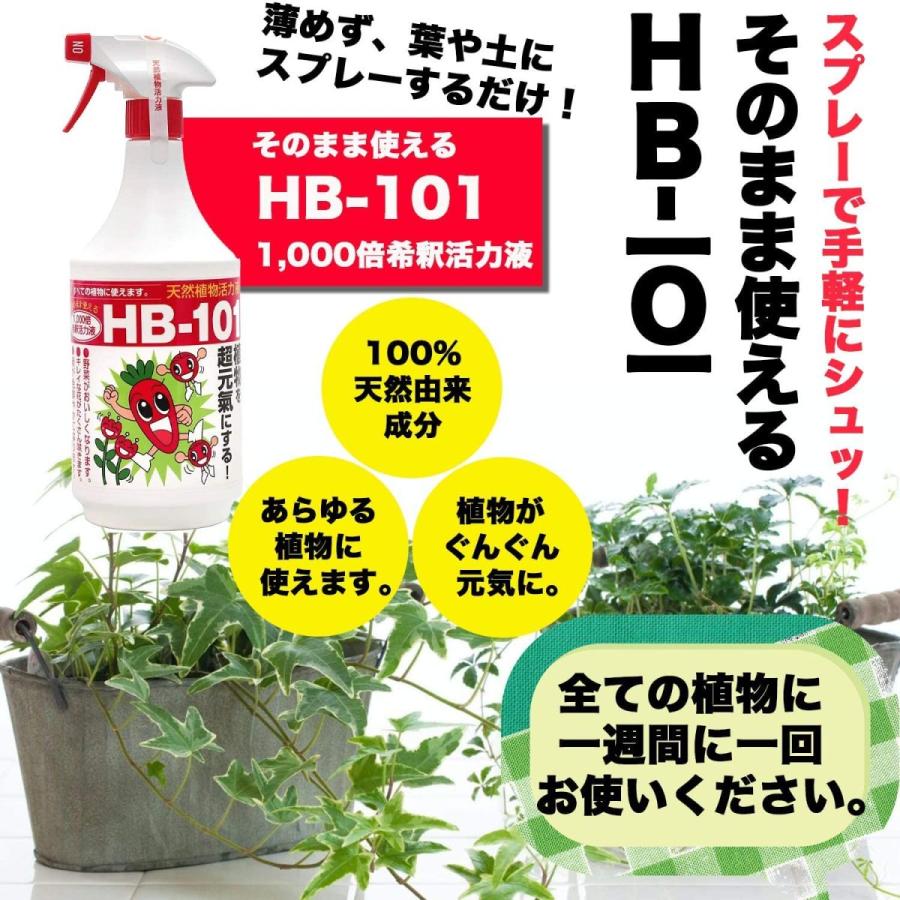 フローラ 植物活力剤 HB-101 即効性 希釈済みスプレー 1L フローラ 植物活力剤 HB-101 即効性 希釈済みスプレー 1L