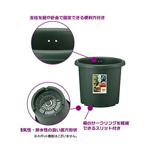 アップルウェアー 野菜鉢 30型 グリーン ヒロセ ネットショップ - 通販 ... アップルウェアー 野菜鉢 30型 グリーン ヒロセ ネットショップ - 通販 ...