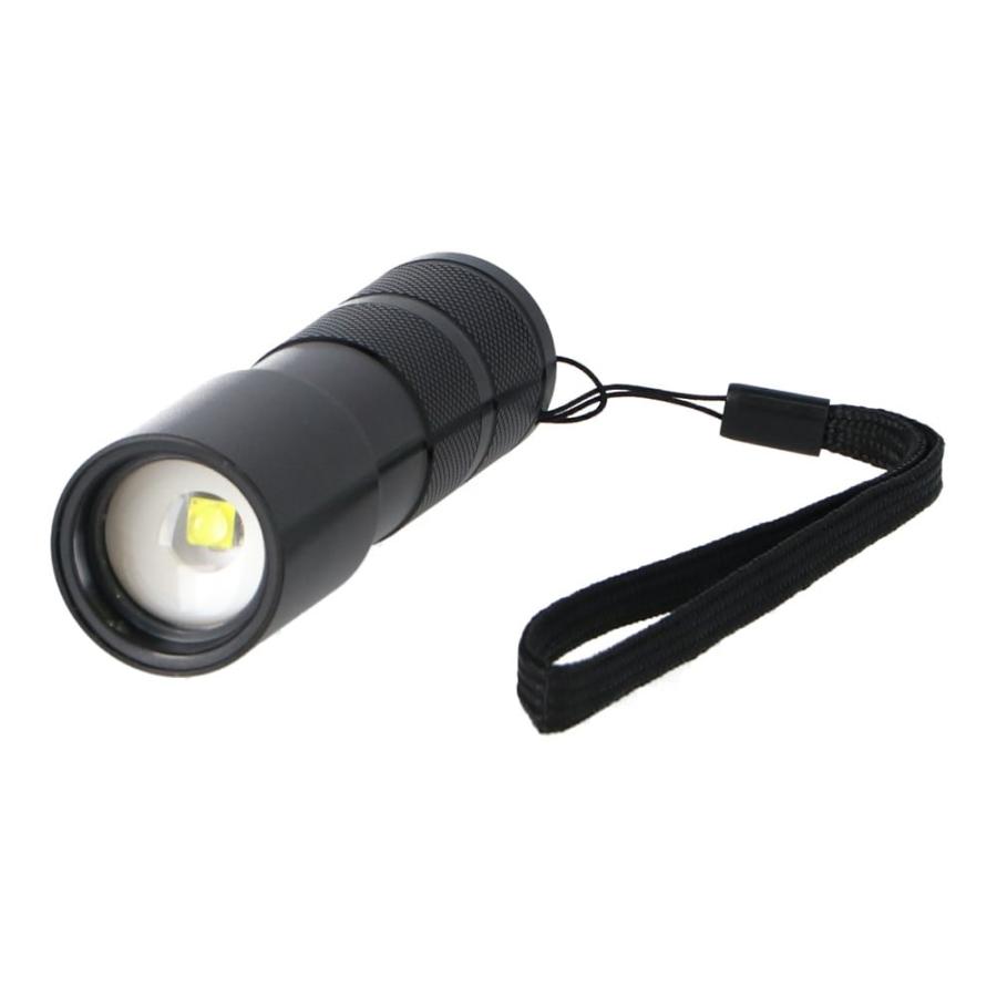 コーナンオリジナル PortTech ポートテック LEDフォーカスライト IWL