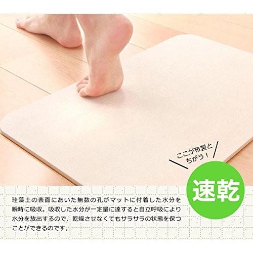 乗った瞬間すぐ乾く 驚きの吸水力! 珪藻土バスマット Lサイズ 約