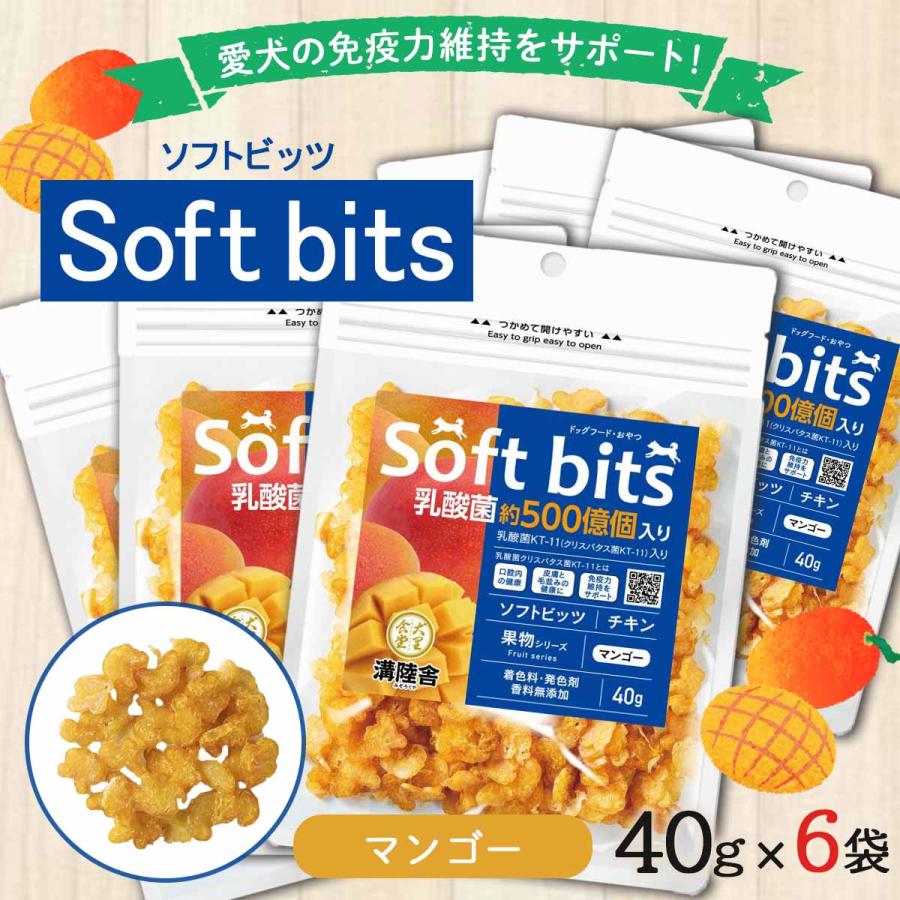溝陸舎 犬里食堂 soft bits ソフトビッツ ビッツ果物 マンゴービッツ果物 マンゴー 40g×6袋 :200106994582165041716:ヒロセ ネットショップ 通販 ビッツ BITS