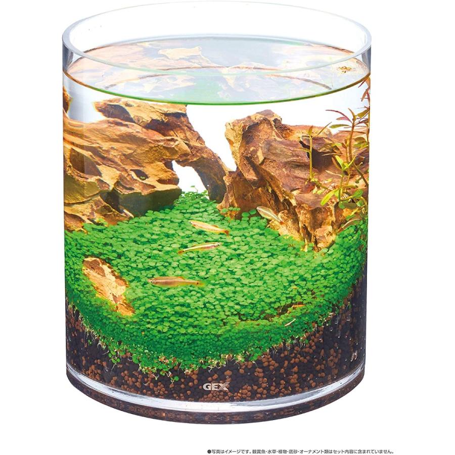 GEX（ジェックス） 水槽 グラスアクアリウム シリンダー 水草