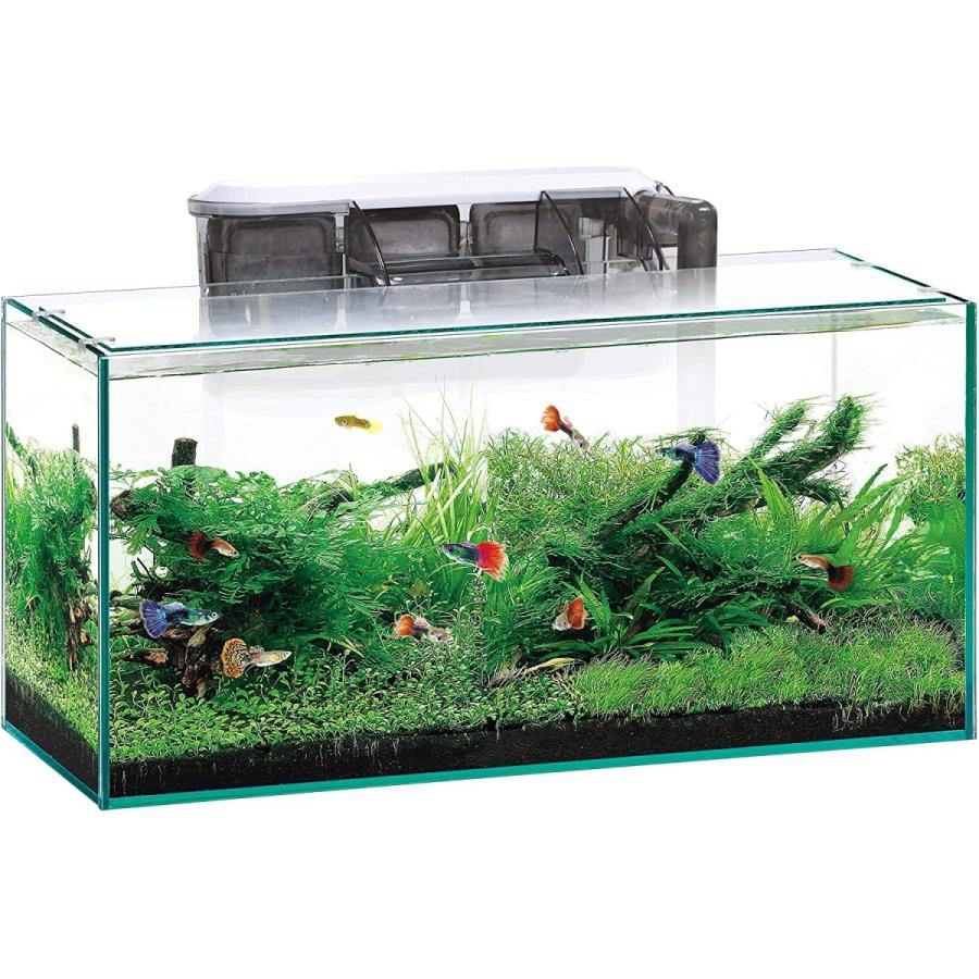 在庫限り】 ジェックス グラステリアキューブ 300 水槽用品セット付き fucoa.cl 在庫限り】 ジェックス グラステリアキューブ 300 水槽用品セット付き fucoa.cl