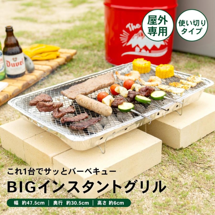 コーナンオリジナル SOUTHERNPORT サザンポート BIGインスタントグリル