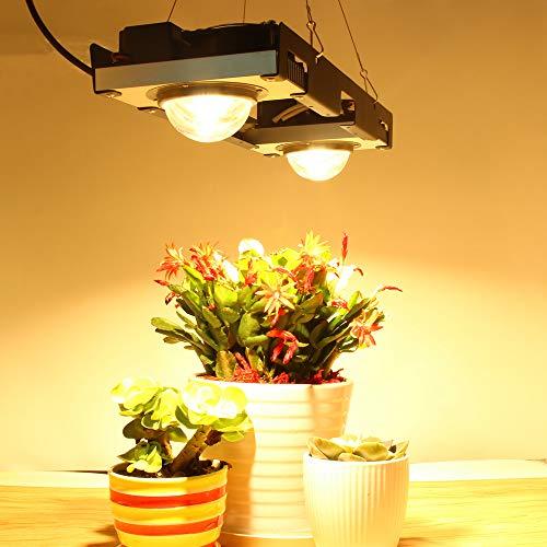 CREE　CXB3590LED植物成長ライトフルスペクトル200WLED植物成長ライト3500Kは、苗木、多肉植物、ミニチュア野菜、野菜、花に適しています