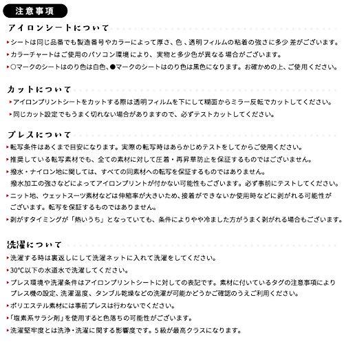 カッティング用アイロンシート ストレッチミラー RSZ 500mm幅 500mm幅以上のカッティングマシン対応 箔 メタリック RSZ (10mロール, RSZ-41 パープル) - 8