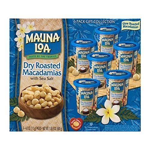 超激安 Maunaloa マウナロア マカダミアナッツ塩味6缶セット ハワイ お土産 全品送料無料 Zoetalentsolutions Com
