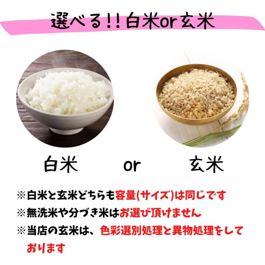 米 あさひ 10kg 送料無料 令和7年産 岡山県産 選べる (白米/玄米) 5kg