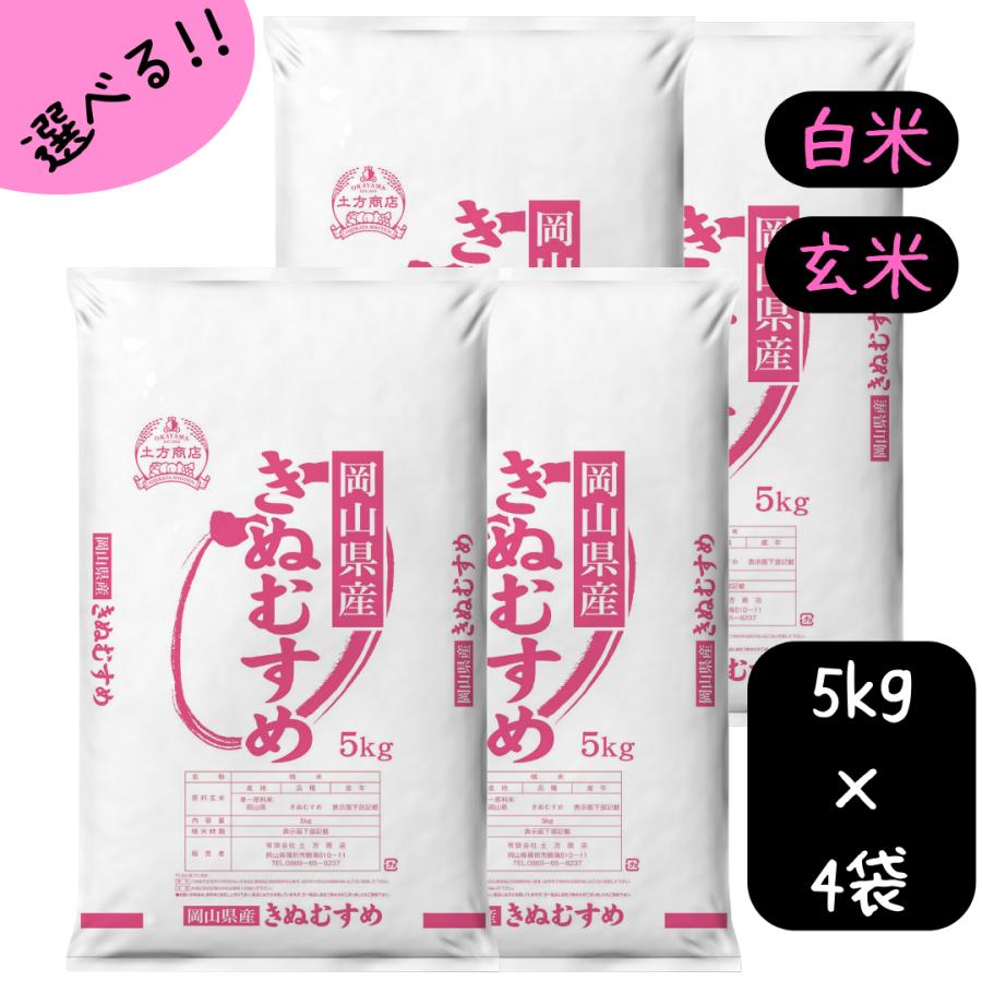 米 令和7年産【10年連続特A受賞】岡山県産 きぬむすめ 選べる(5kg/10kg