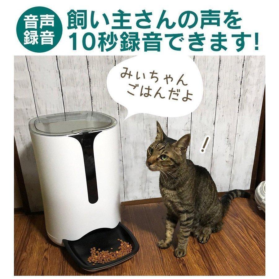 訳あり 自動餌やり機 自動給餌器 ご飯用 犬 猫 キャットフード えさ ペット 自動餌や 自動給餌器 ご飯用 犬 猫 キャットフード えさ ペット 猫餌 ボイスレコーダー付き 声が出る 音が出る 自動餌やり器 エサ 音声録音 自動給餌器 食器 餌やり 水やり用品 Www