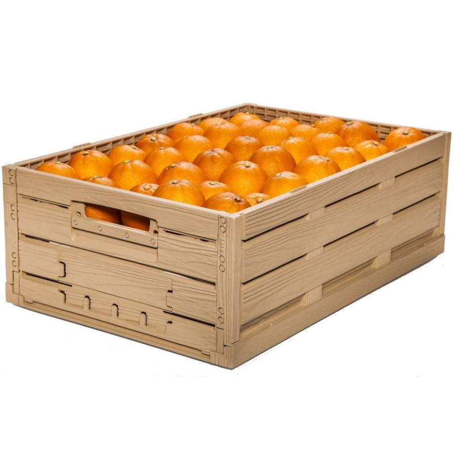 木目調折りたたみコンテナ 6413 外寸 600×400×150mm スーパー 道の駅で