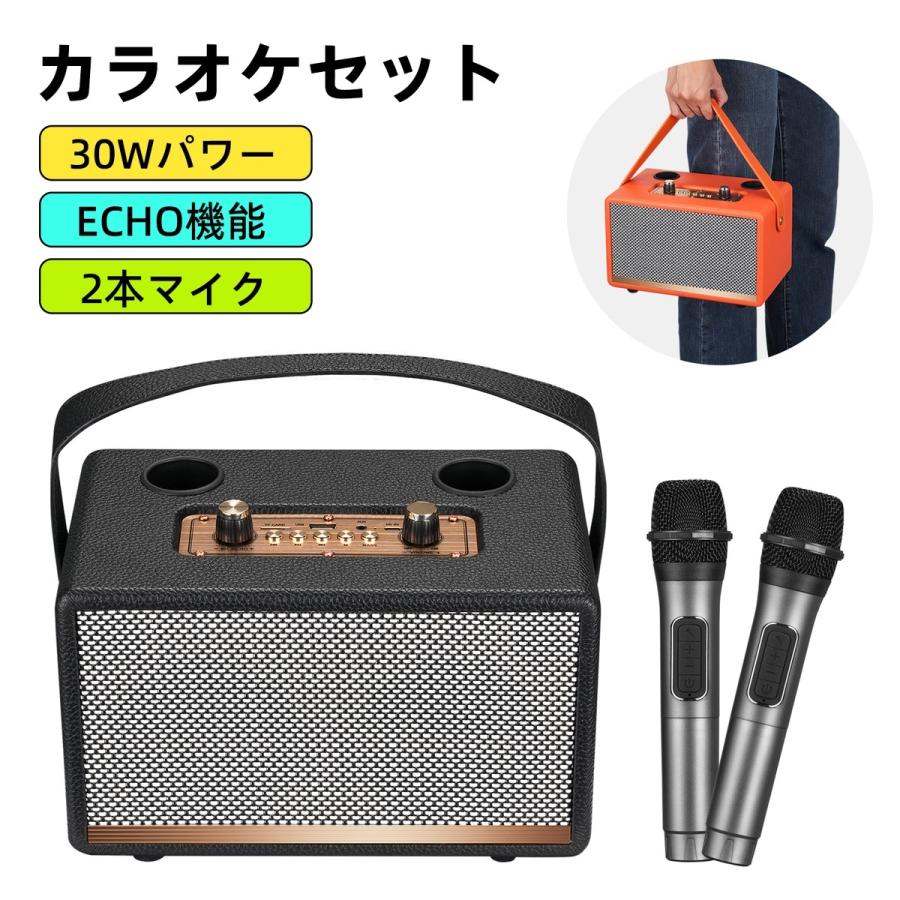 ワイヤレスマイク カラオケ 2本セット Bluetoothスピーカー付き 15W