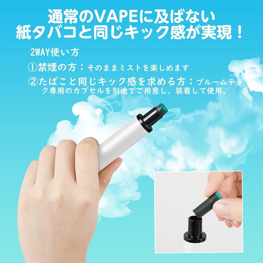 DBL S TICK PLUS 電子タバコ 使い捨て VAPE ミントメンソール 7500回吸引可能 ベイプ 爆煙 水蒸気タバコ 禁煙パイポ ニコチン |  | 01