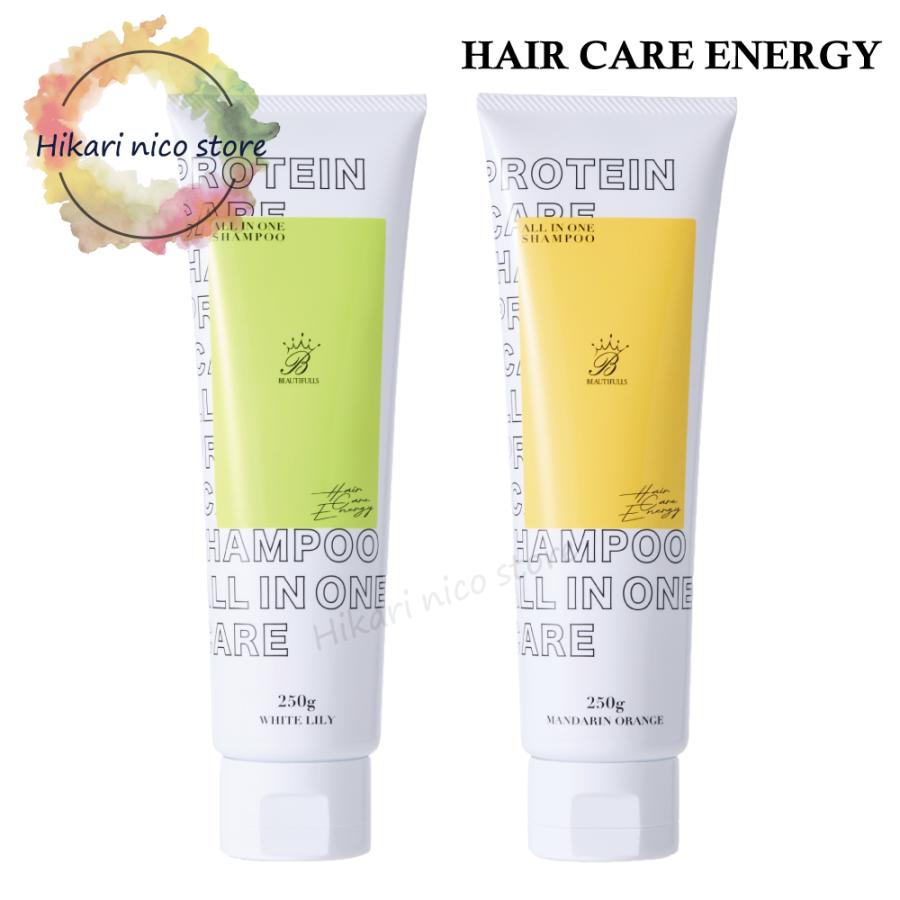 ヘアケアエナジー プロテインオールインワンシャンプー 250g