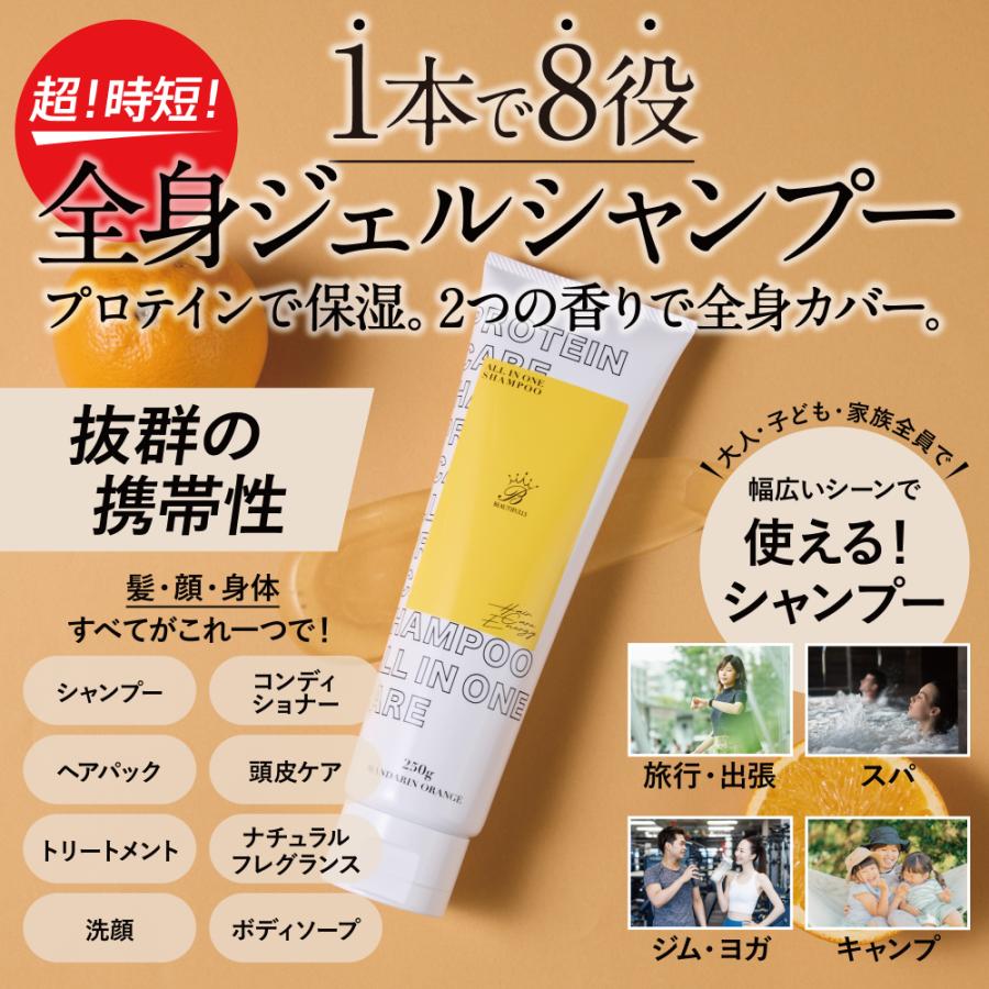 ヘアケアエナジー プロテインオールインワンシャンプー 250g