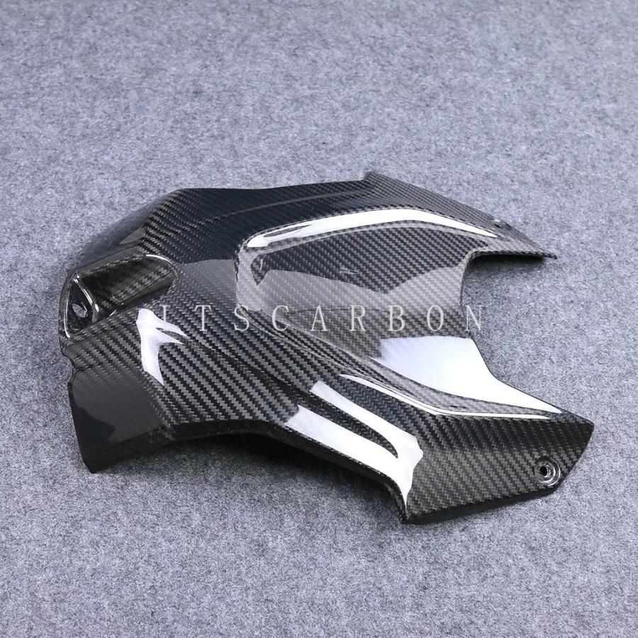 燃料タンクカバー フェアリング キット Bmw M1000R M1000RR S1000R