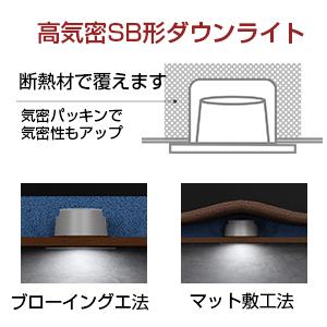屋内用LEDダウンライト 天井埋込型 埋込穴100φ led 昼光色 電球色 昼