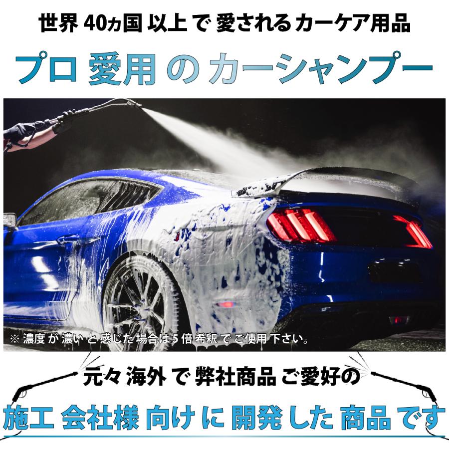 HIKARI ガラスコーティング カーシャンプー 500ml 洗車 車洗車 洗剤