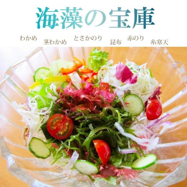 海藻サラダ 350g 6種類 国産 塩蔵 101 光海藻yahoo 店 通販 Yahoo ショッピング