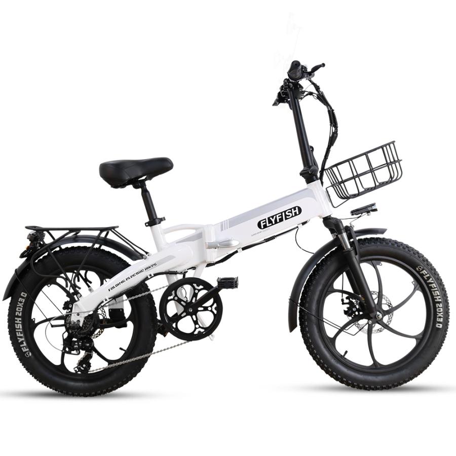公道走行可能 電動アシスト自転車 20インチ 電動折りたたみ 公道走行可能 電動アシスト自転車 20インチ 電動折りたたみ