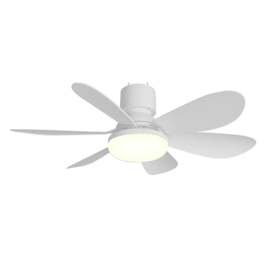 日本語説明書】シーリングファンライト シーリングファンライト