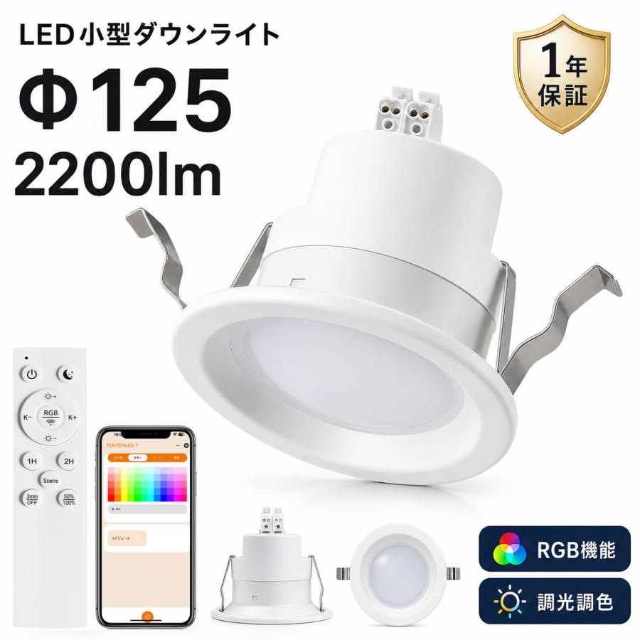 LEDダウンライト RGB 調光調色 125φ 埋込穴125mm 天井埋込型 リモコン