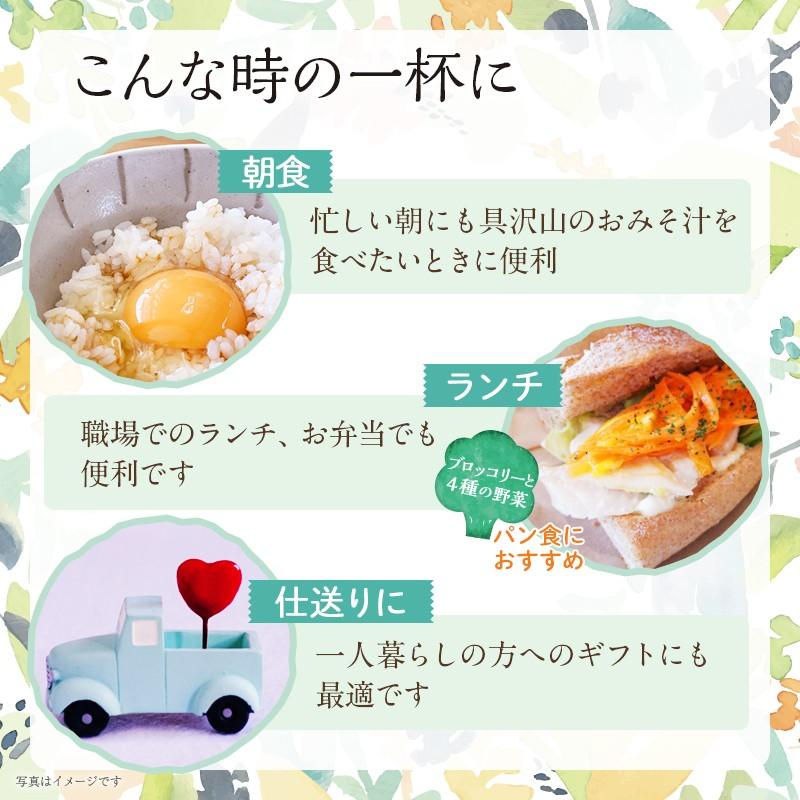 [6/25まで早割] 夏ギフト お中元 2025 みそ汁 食べ物 食品 贈り物 御中元 暑中 残暑 見舞い 手土産 味噌汁 ひかり味噌大地と海の野菜を食べる3種のおみそ汁30食 | ひかり味噌 | 08